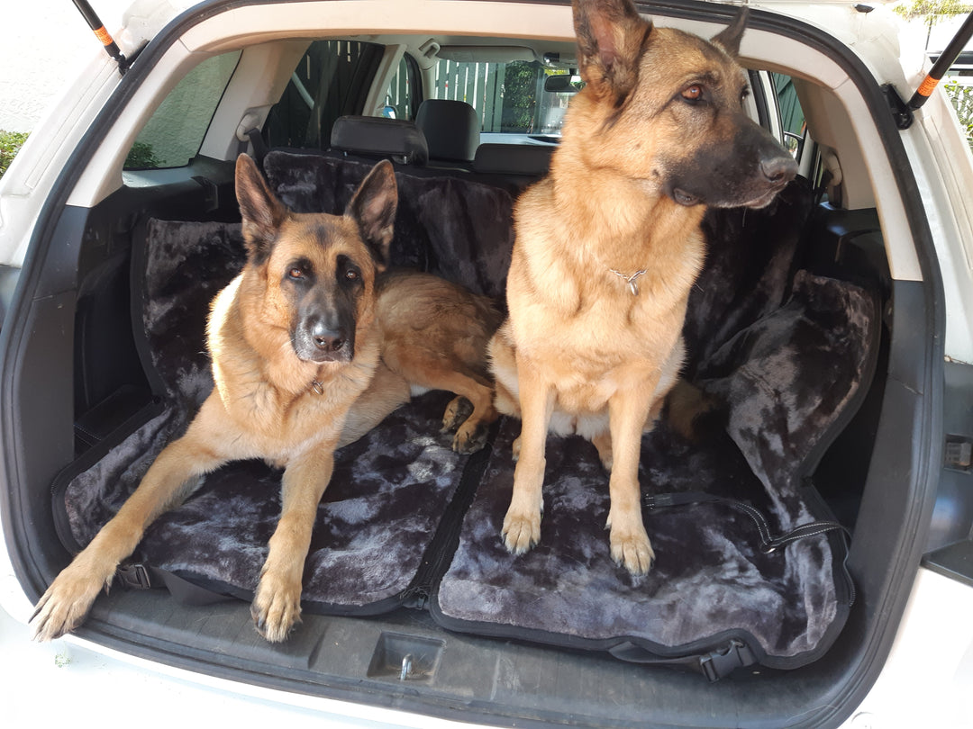 Keep your Car Clean with our Waterproof Dog Seat Protector