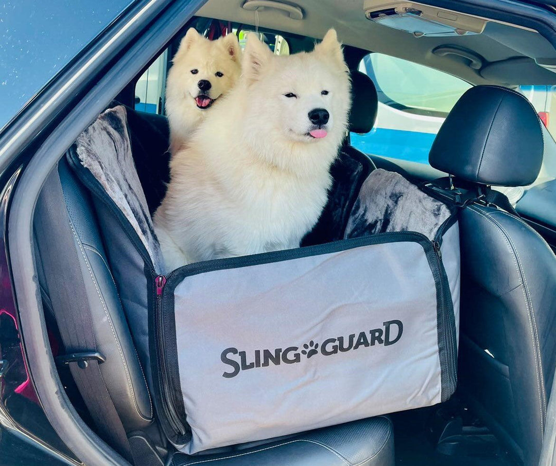 Australian designed Waterproof Dog Seat Protector for Transporting Animals