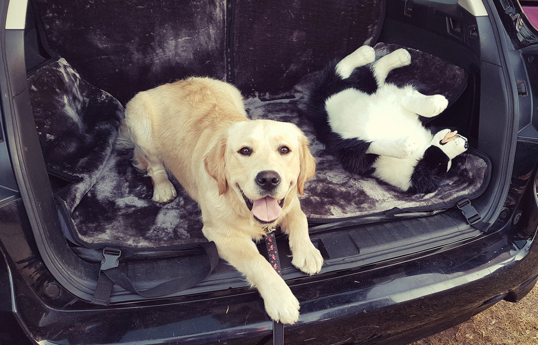 Transport Pets in Comfort with a Waterproof Dog Seat Protector