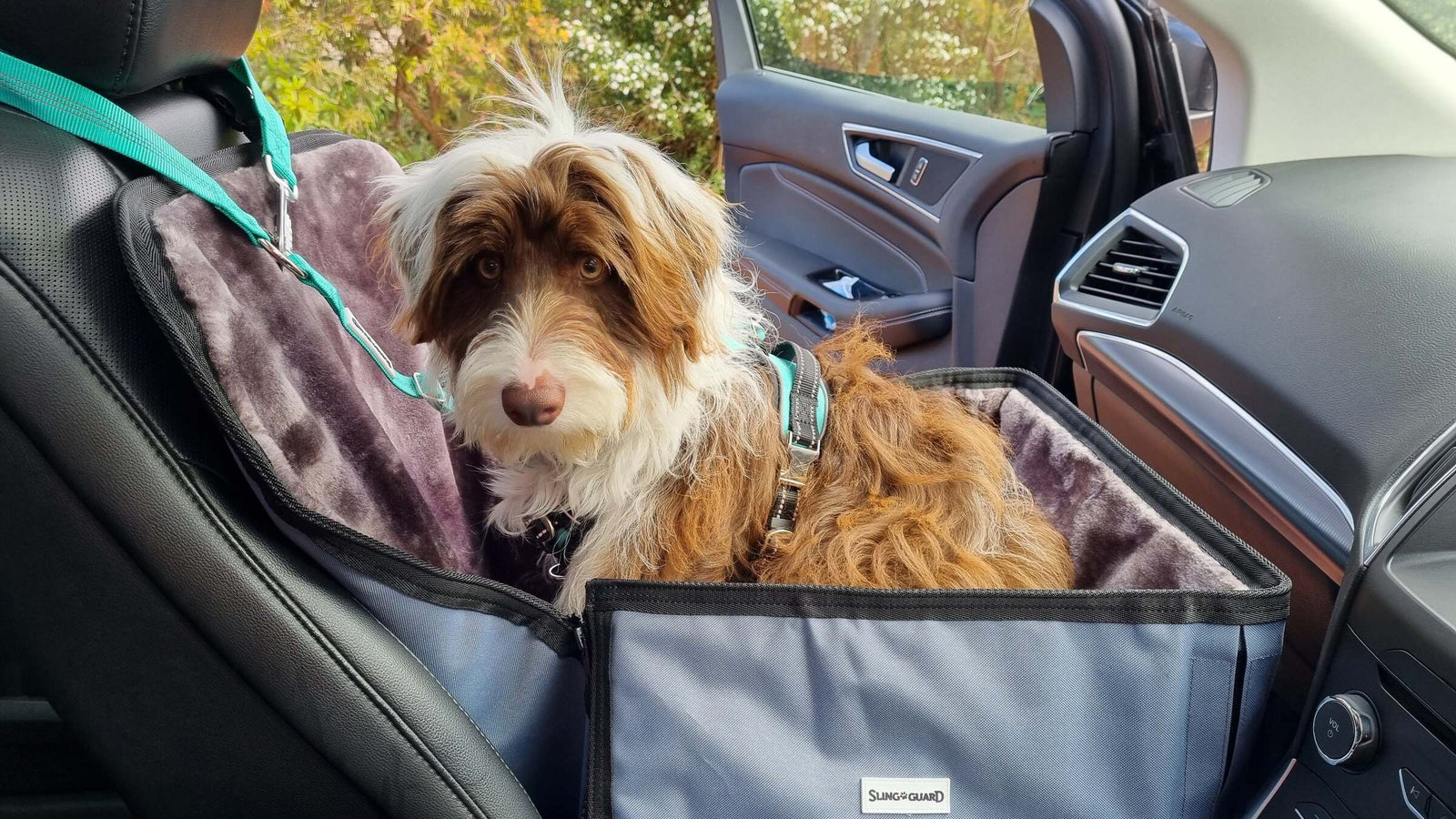 Give Your Dog a Comfortable Ride While Also Protecting Your Vehicle: Try out SLINGGUARD Dog Car Seat Covers in Australia