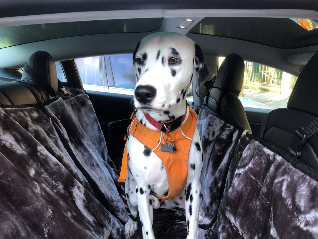 SLINGGUARD creates Protective Car Seat Covers for Pets and Your Dog