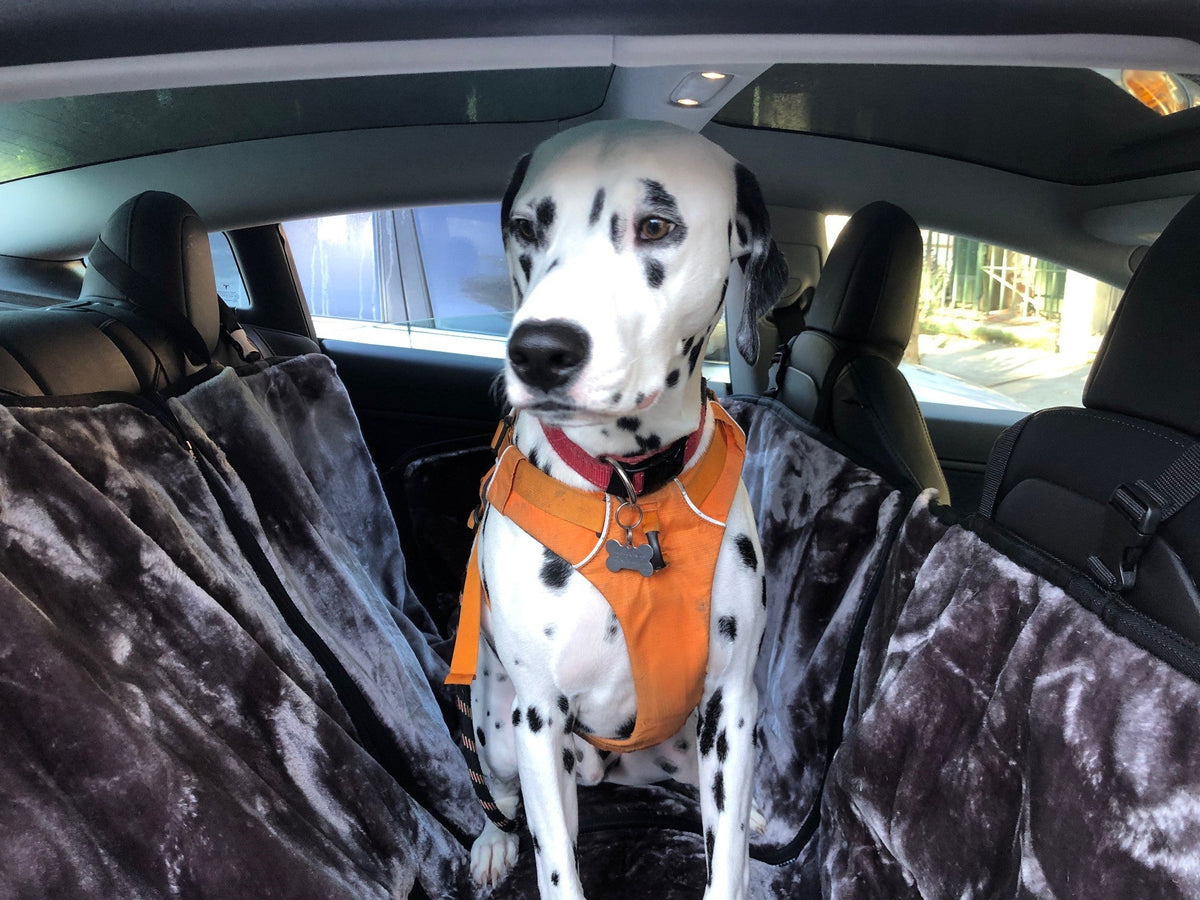 SLINGGUARD creates Protective Car Seat Covers for Pets and Your Dog